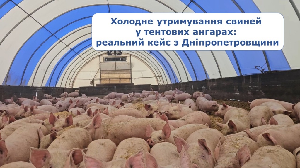 Федорик- часть 1 -ютуб.jpg